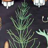 Displays educational horsetail, 1964