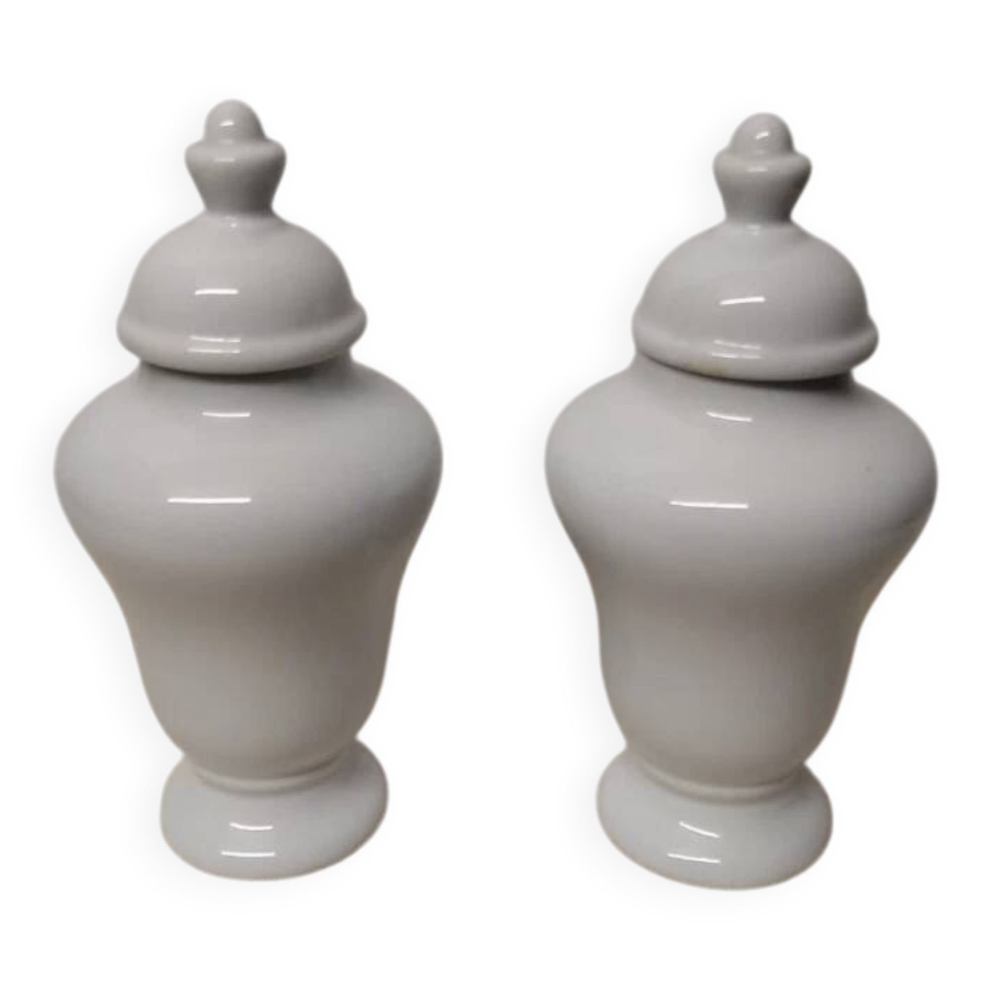 Pair of Covered Vases in Limoges Porcelain, France