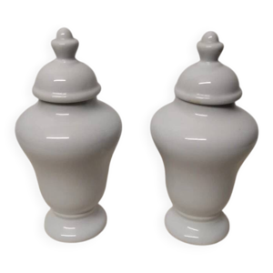 Paire de vases couverts