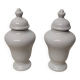 Pair of Covered Vases in Limoges Porcelain, France