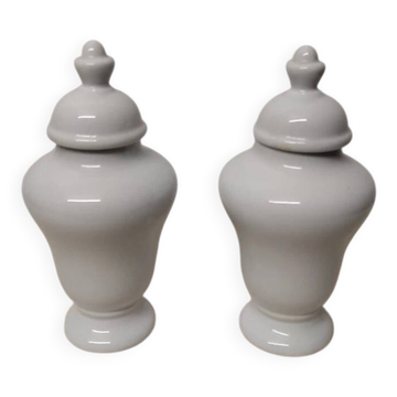 Pair of Covered Vases in Limoges Porcelain, France