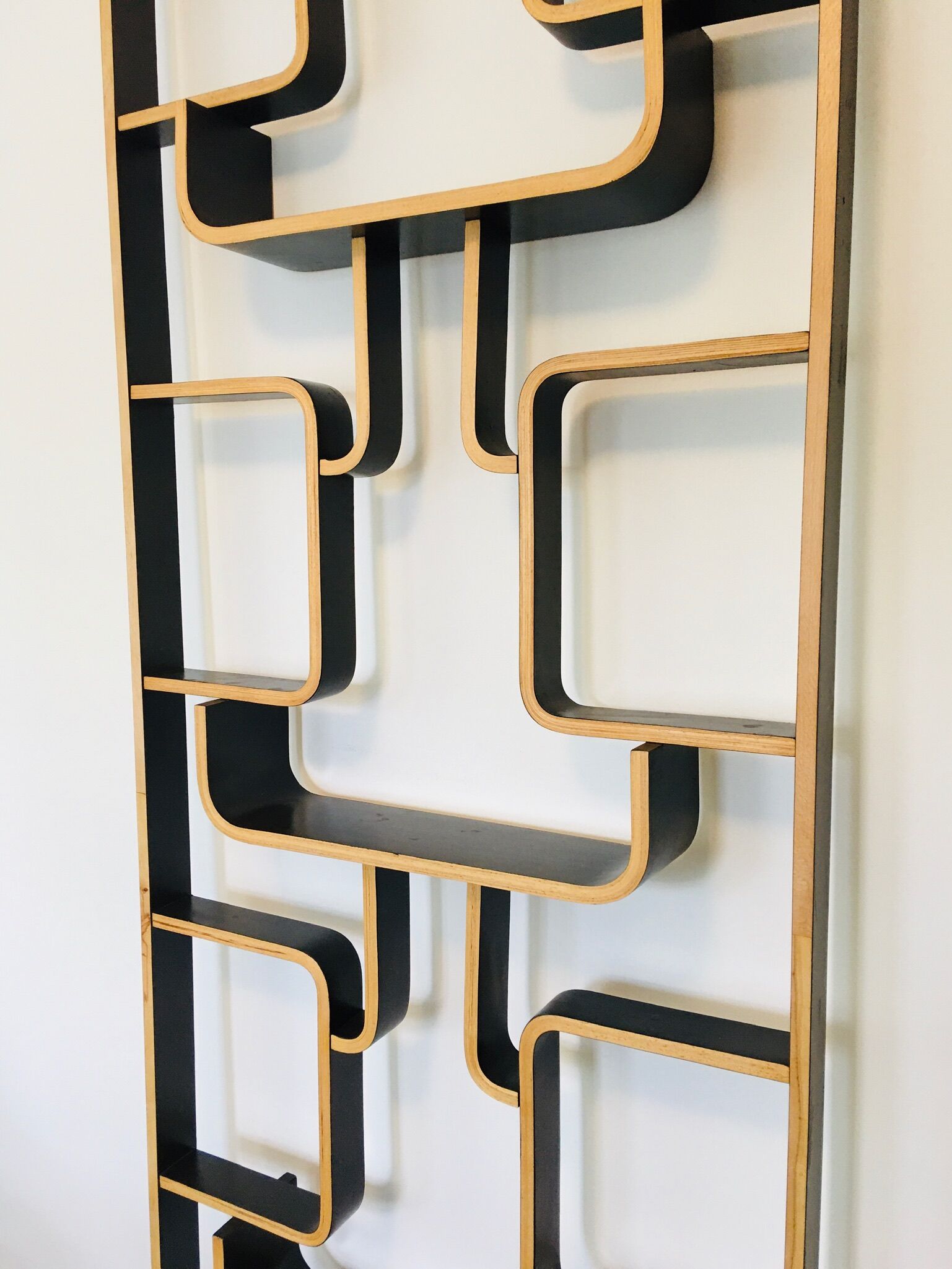 Mid-Century Room Divider by Ludvik Volak for Drevopodnik Holesov, 1960s