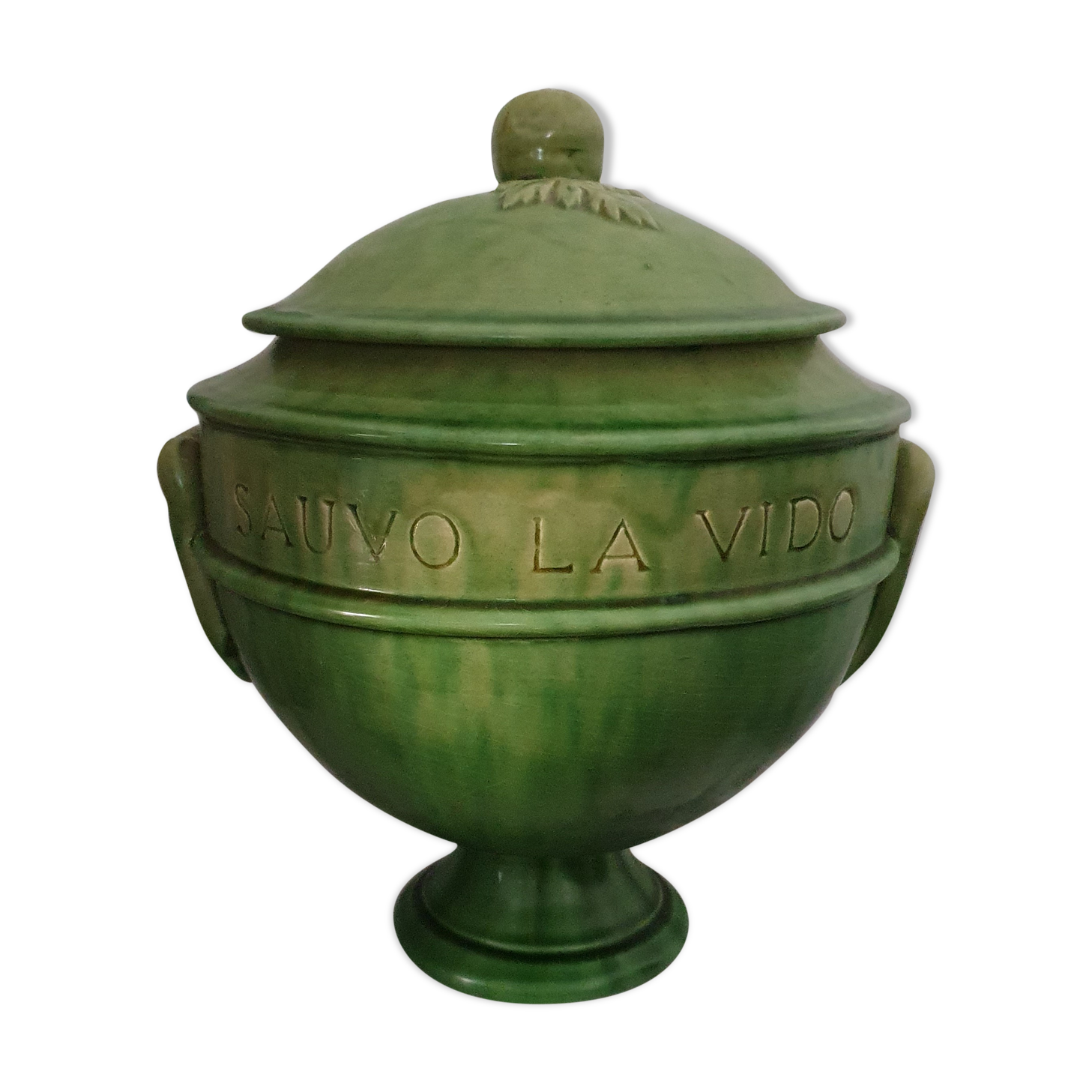 Biot varnished earth soup