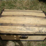 Old bulging trunk