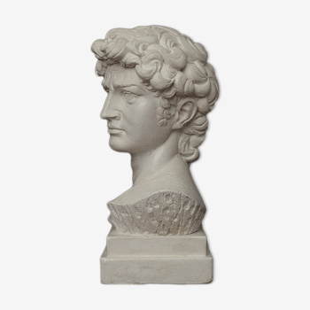 Bust of David in waxed white plaster