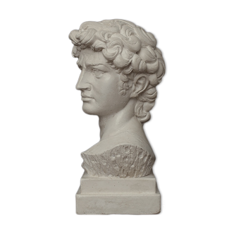 Bust of David in waxed white plaster