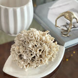 Empty ceramic pocket