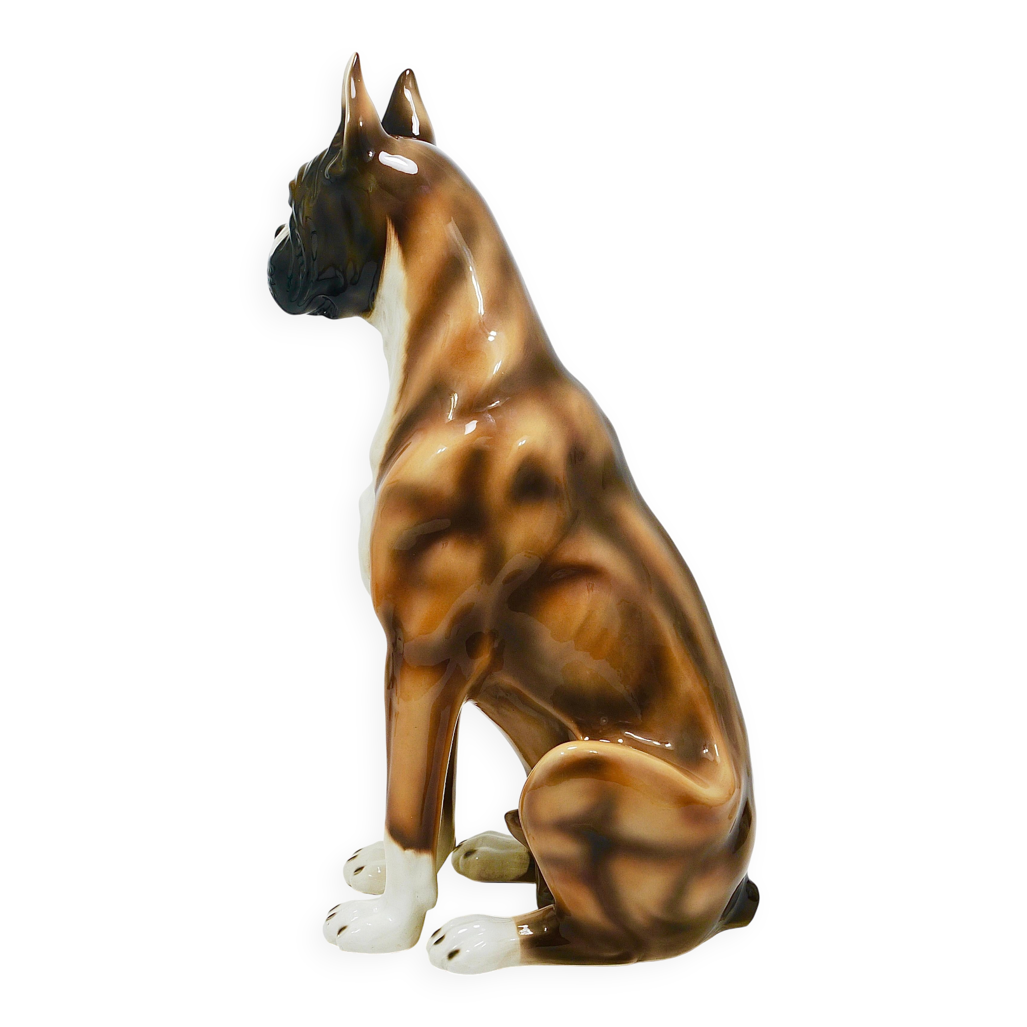 Life-size boxer dog statue in majolica, glazed ceramic, Italy, 1970s.