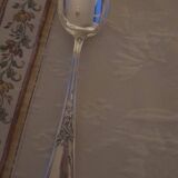 12 Ercuis spoons