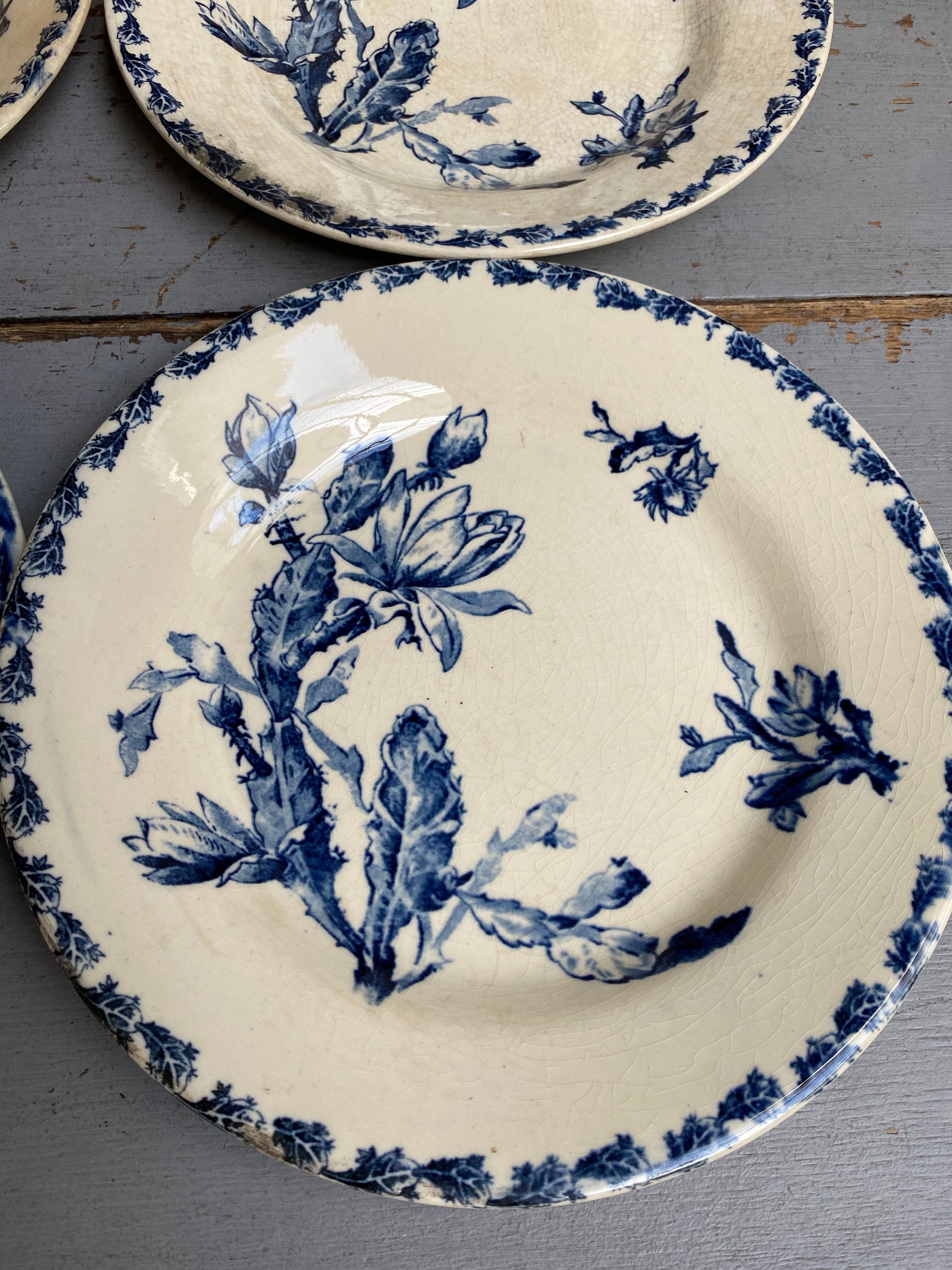 Gien 'Cactus' porcelain plates