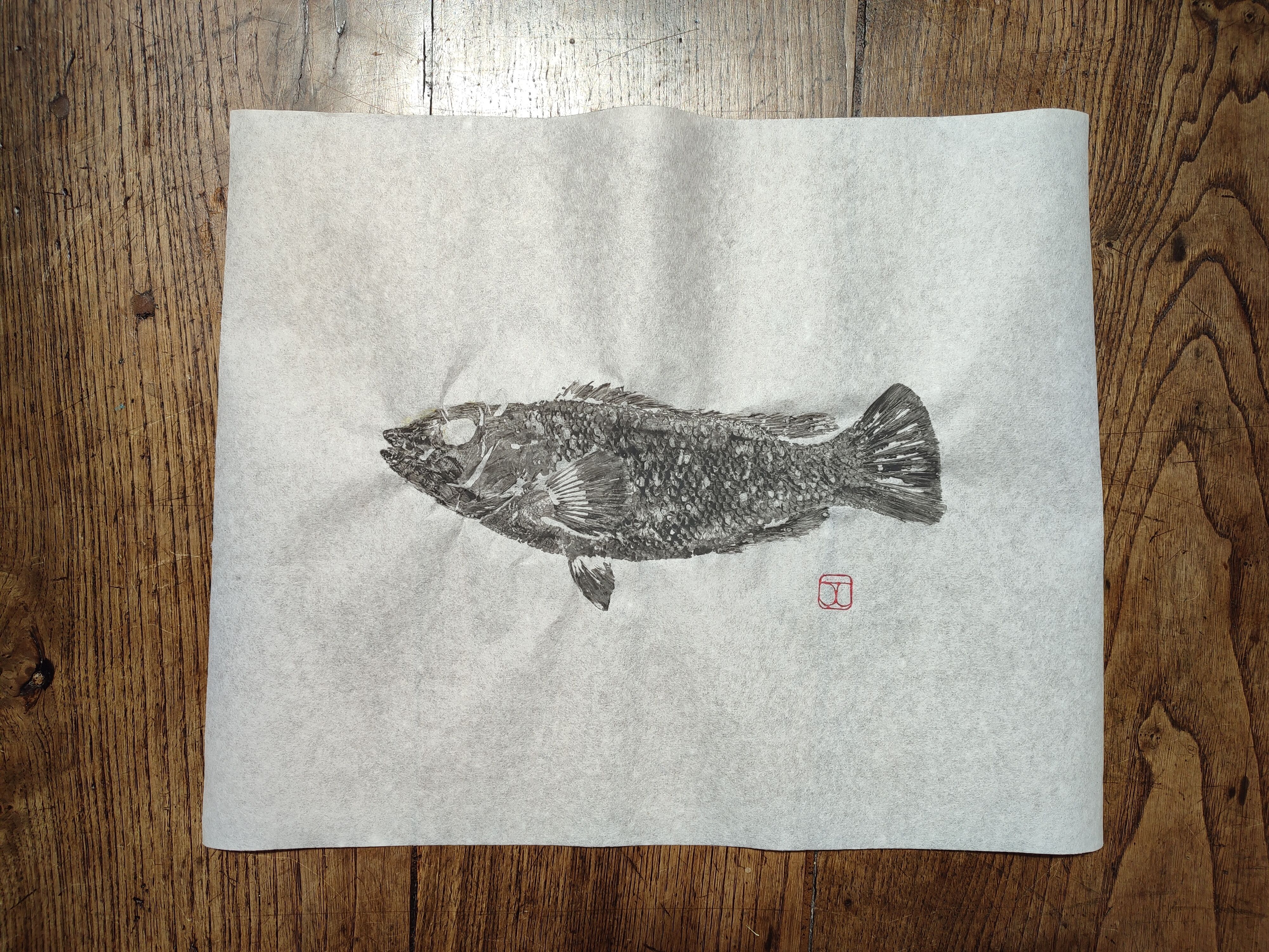Estampes De Poissons Heddon – Collection Vintage, Lot De 8