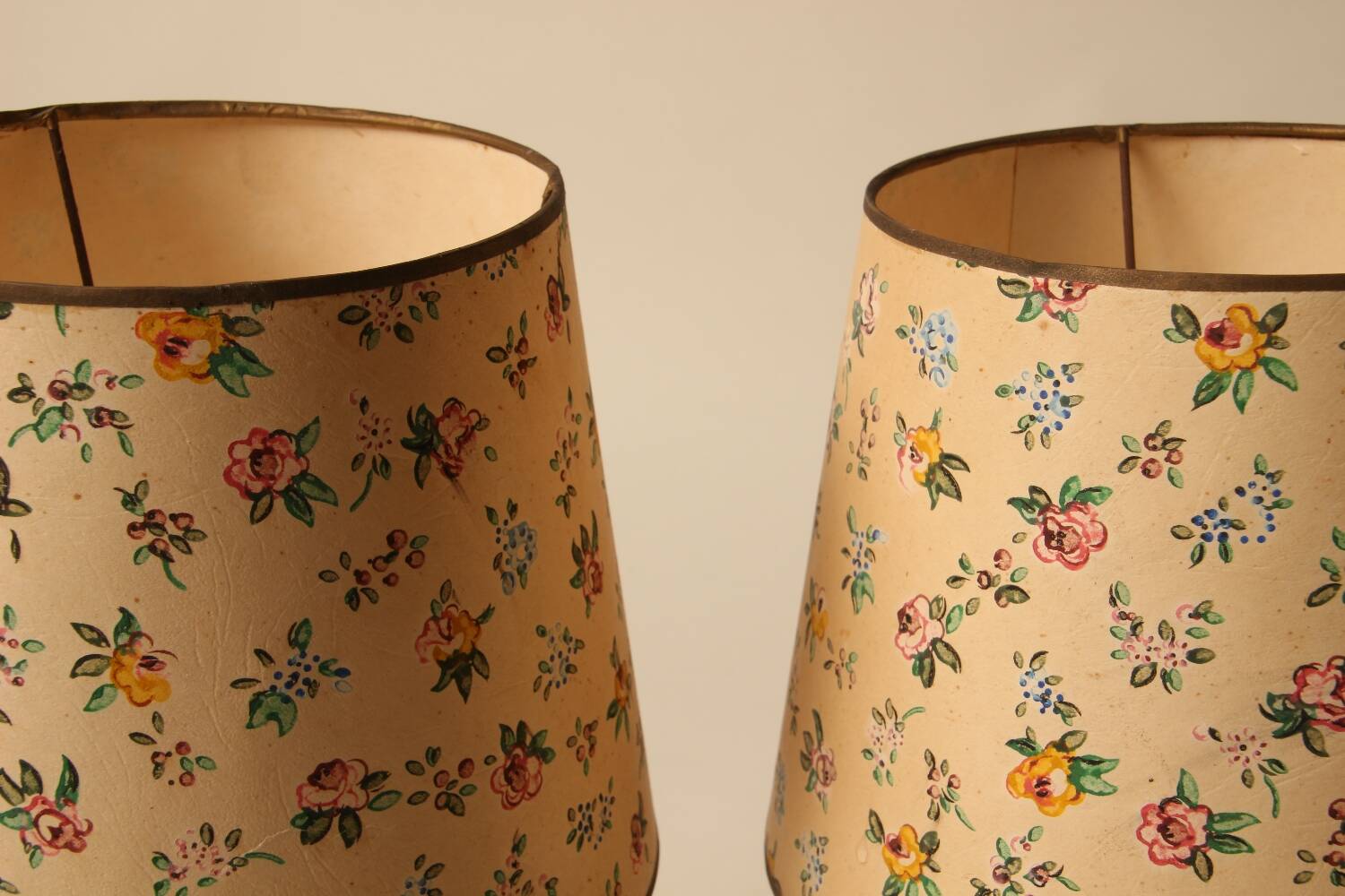 Pair of lamps with hand-painted floral shades