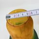 Pair of Antique Art Nouveau Tulips - Speckled Amber Green Glass