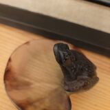 Daum frog cut