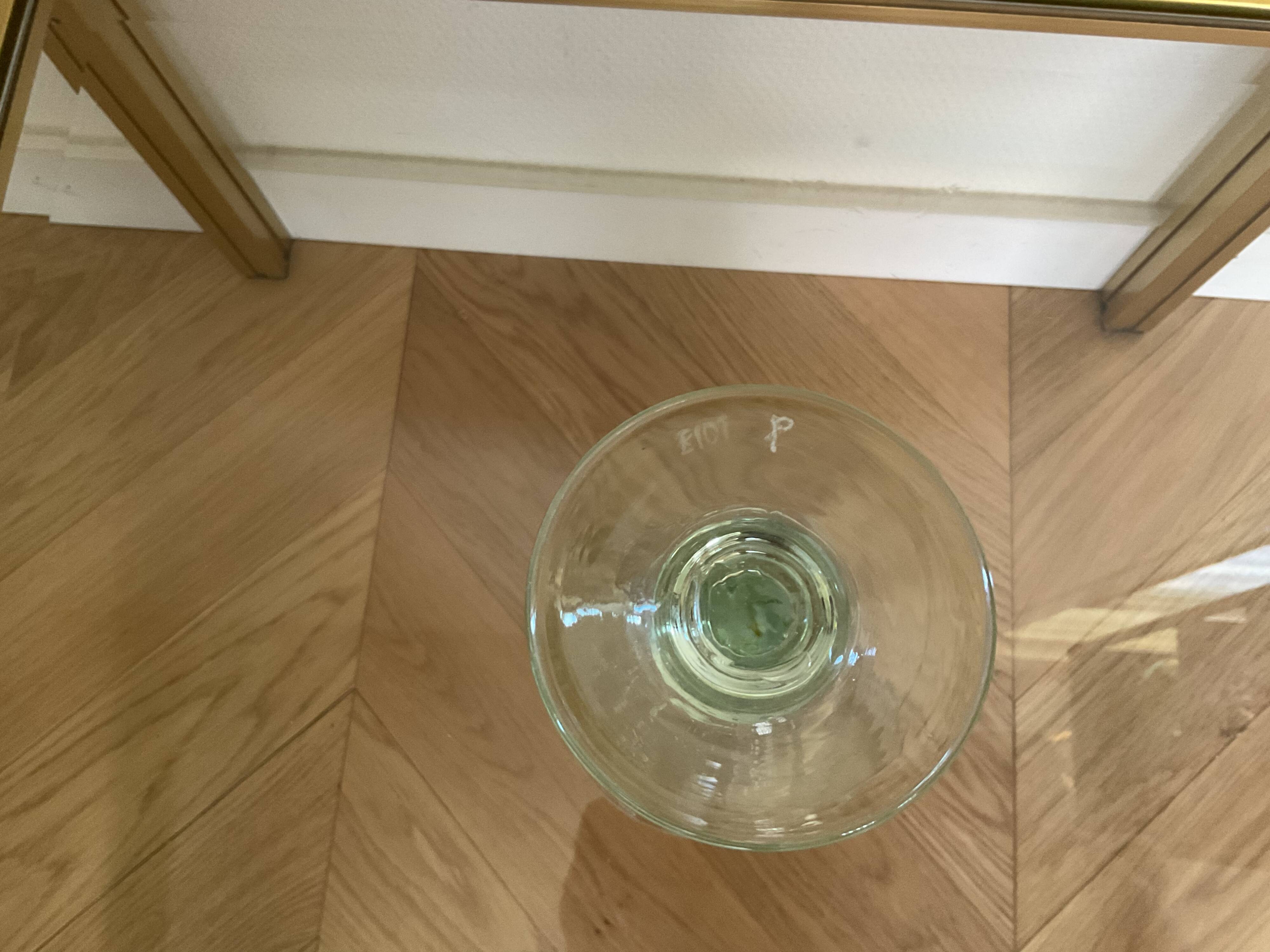 Signed BIOT bubble champagne glass