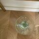 Signed BIOT bubble champagne glass