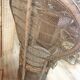 Antique armchair in rattan and wicker