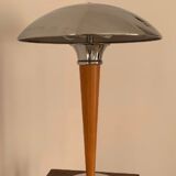 Mushroom lamp called liner
