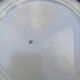 Vintage Longchamp dessert plate set