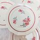 7 flat plates St-Amand Ceranord