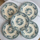 5 ironstone plates GIEN 21cm