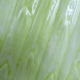Asparagus dish in bubble