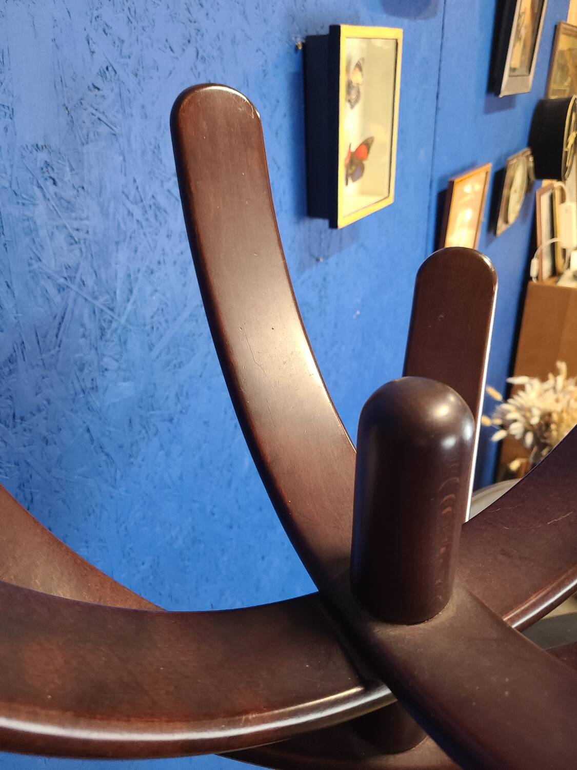 Cactus coat rack Mauro Pasquinelli 1972