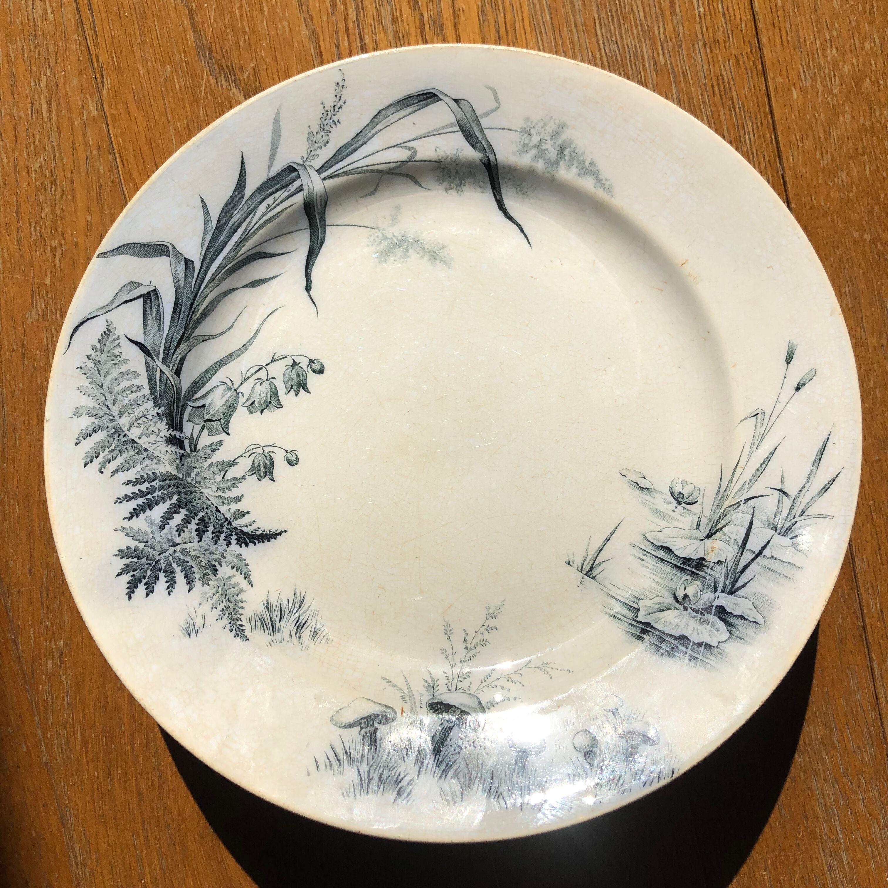Plate Villeroy and Boch model Alaska
