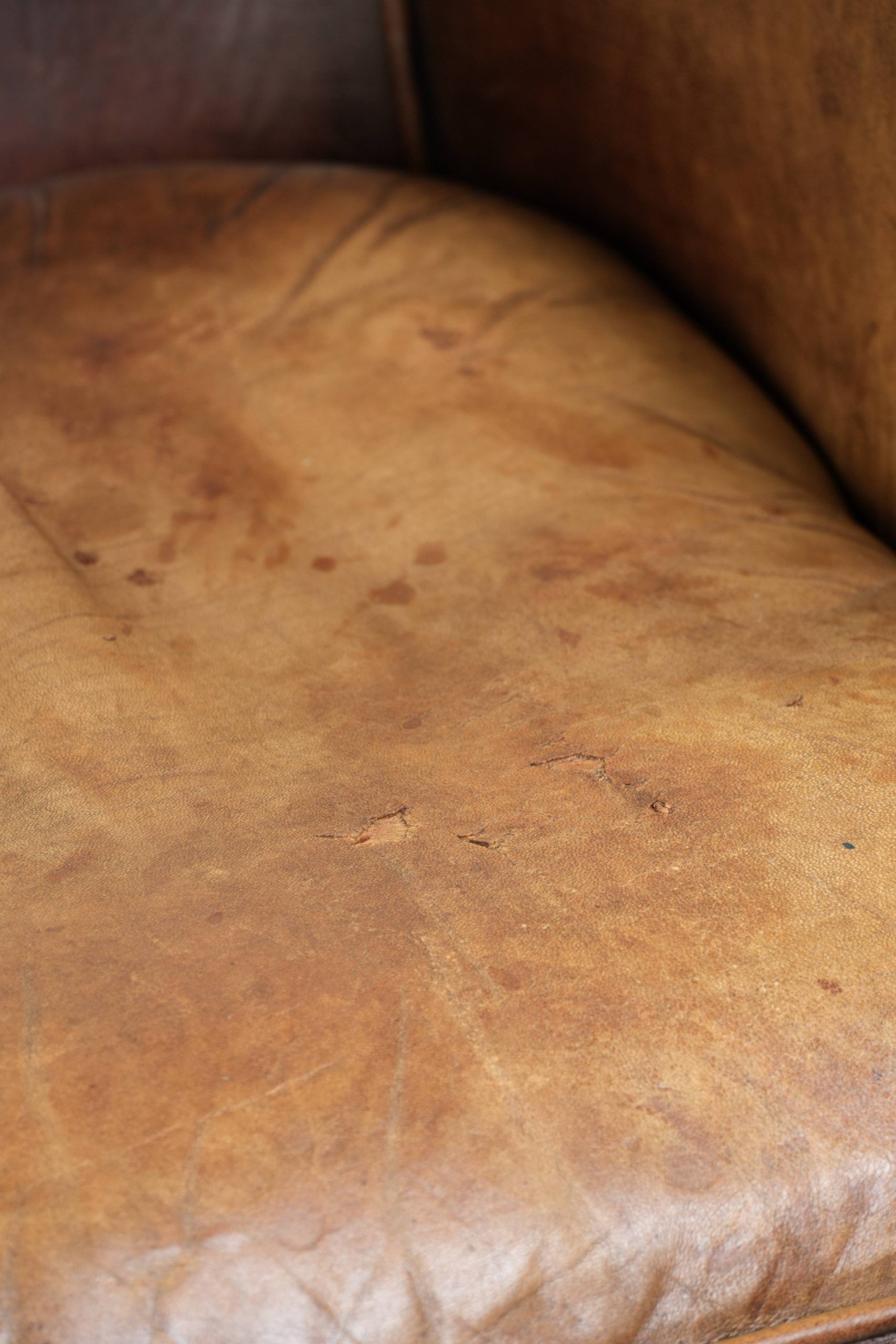 Fauteuil club en cuir de mouton vintage