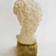 Sculpture Bust of David, Italy 1960s