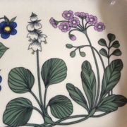 Vintage dish