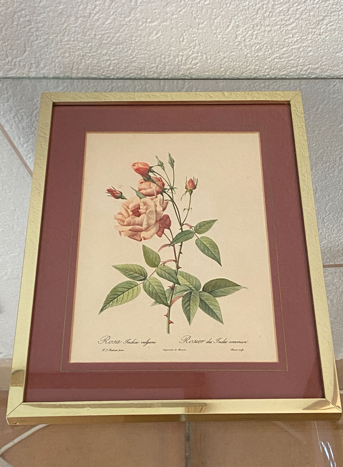 Botanical poster, P-J Redouté, brass frame