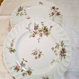Flat plates in Limoges porcelain by Haviland