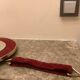 Ancien miroir ovale velours grenat bordeaux