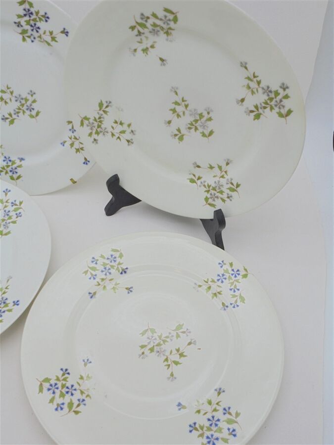 Set of 4 flat plates