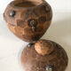 Wooden box wasp's nest