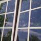 Lot of 4 oak windows H141xL112/117cm old small panes