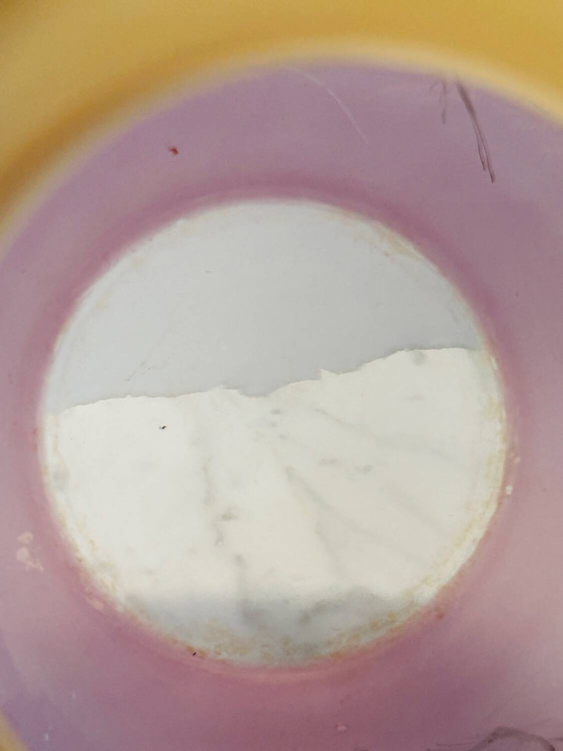 Ambiente Zwiesel Vase