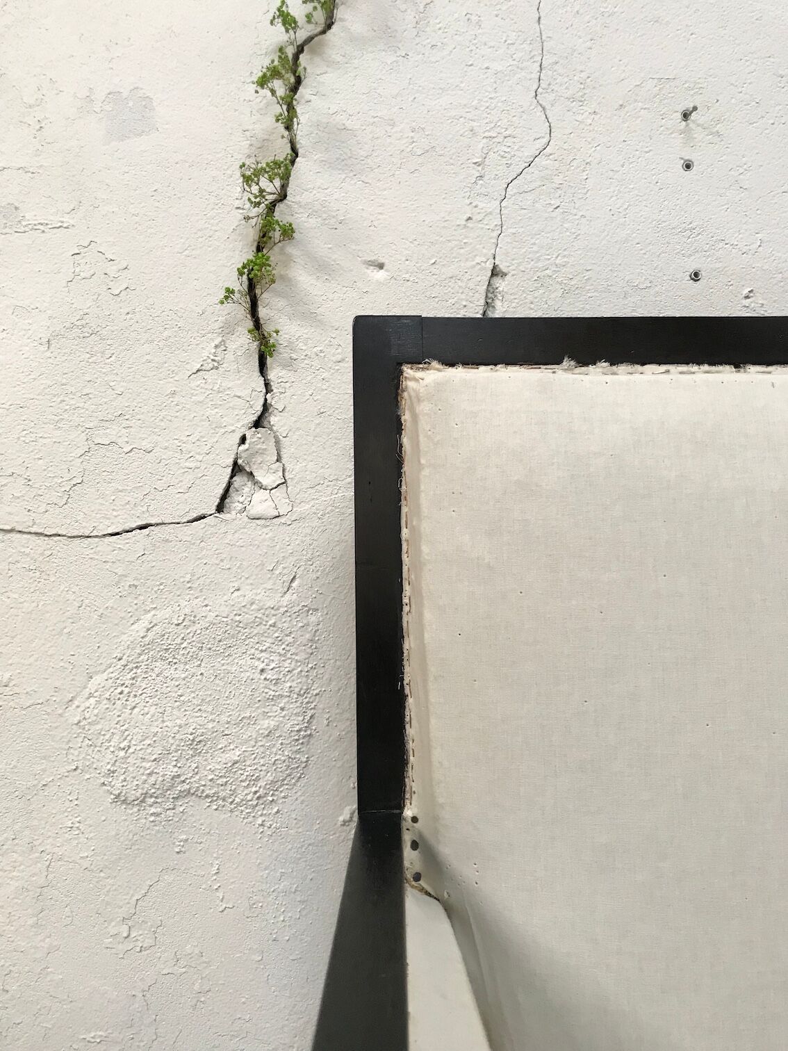 Pair of blackened wooden armchairs