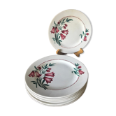 Assiettes plates St Amand