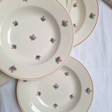 Moulin des Loups deep plates