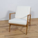 Model 300-139 Armchair from Swarzędz Factory, 1960s