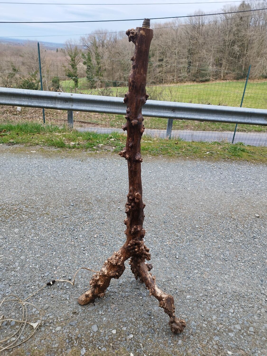 Pair of wooden floor lamps