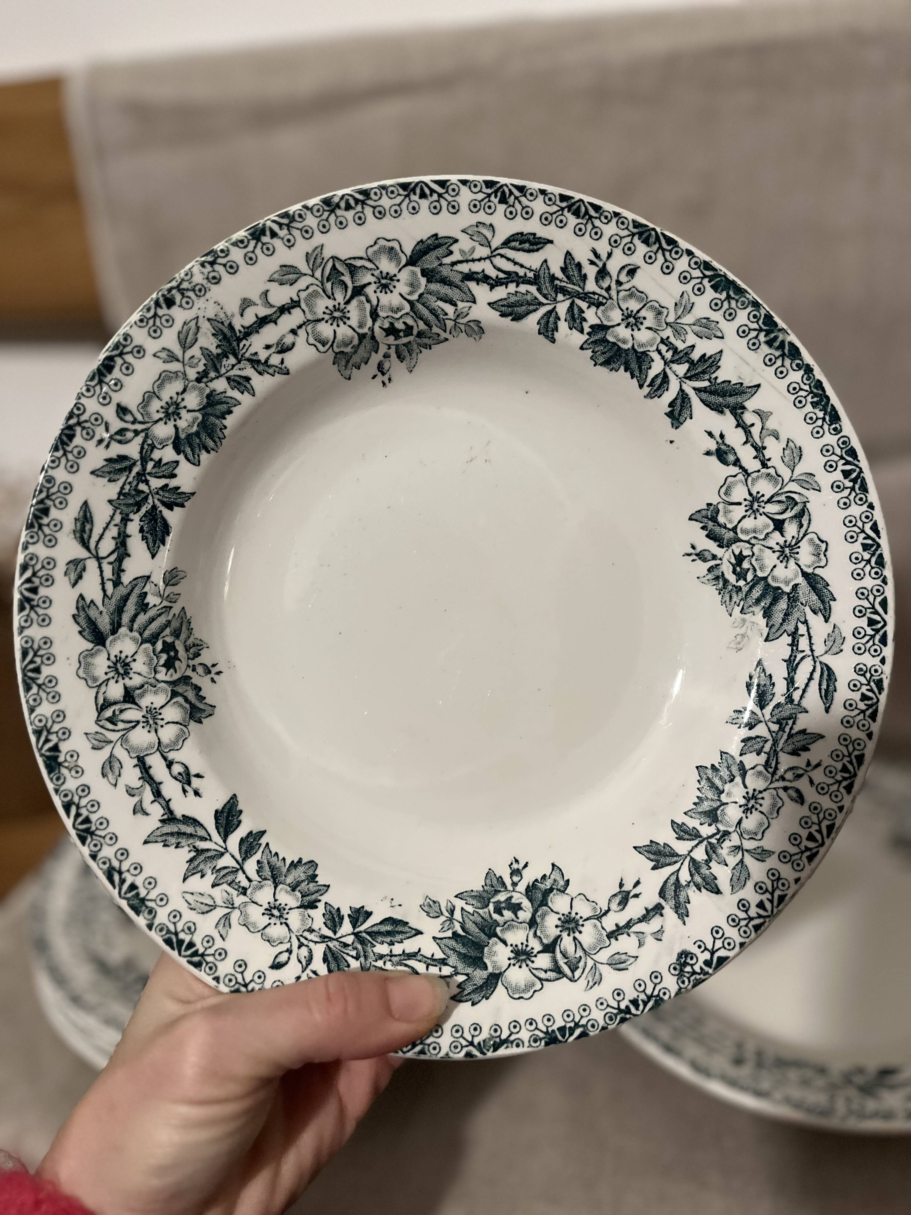 Lot 6 soup plates Guadeloupe Saint Amand