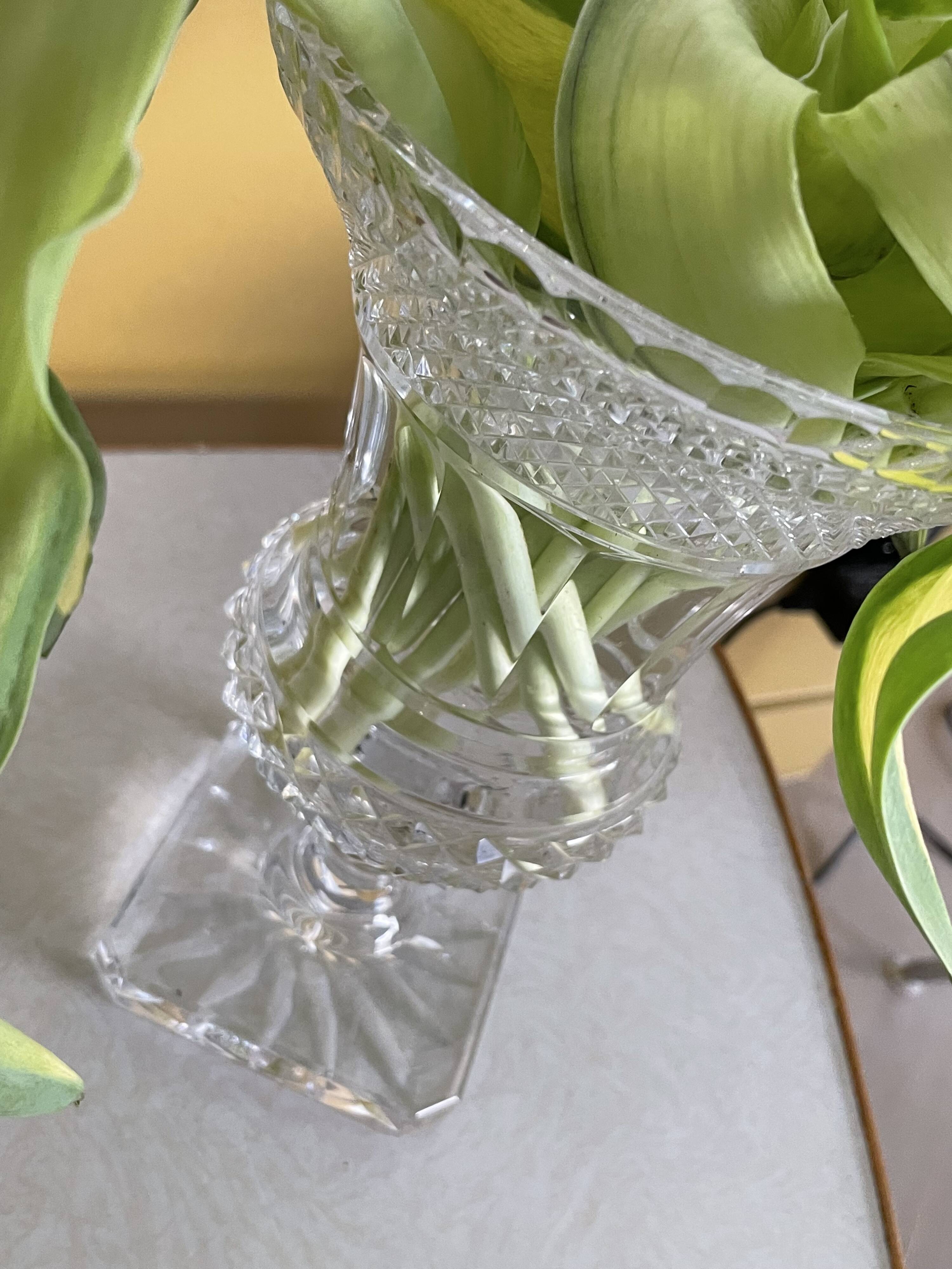 Medici vase