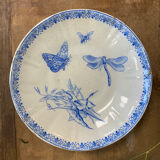Insect plates