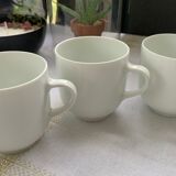 White cups clean lines