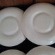 Set of 6 Vintage Mimosa Egg Plates – Speckled Cream Ceramic