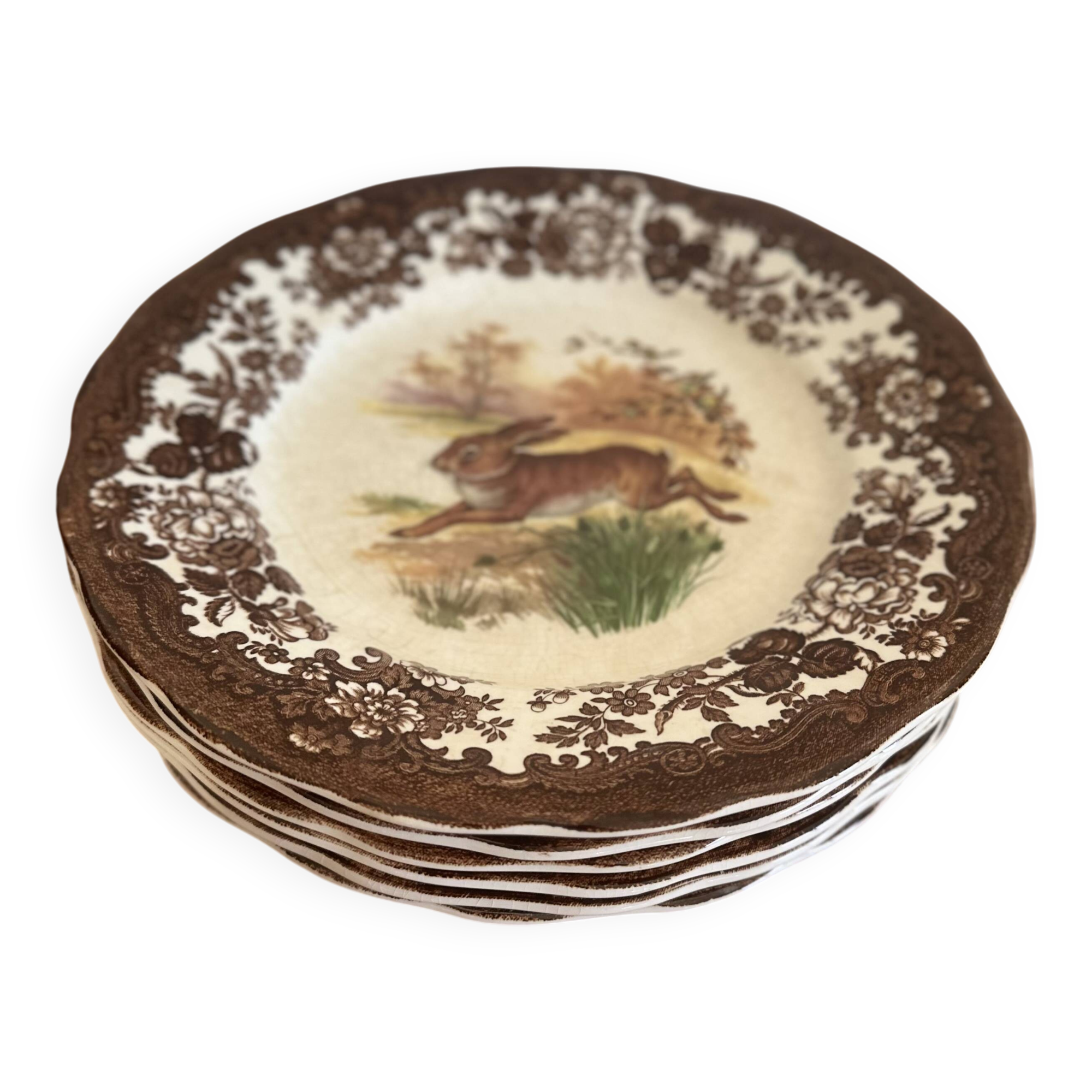 Set of 6 Palissy plates - Game Series - Royal Worcester - England