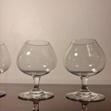 5 verres à dégustation Baccarat